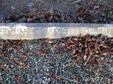 image of grave number 368833